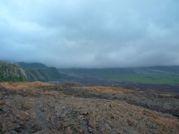 Visite de la petite cousine !